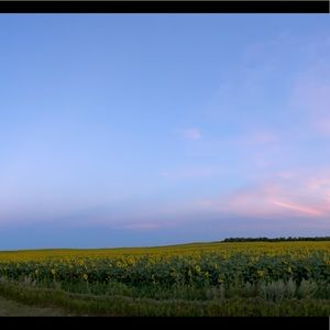 Meet your Posher, Timmy